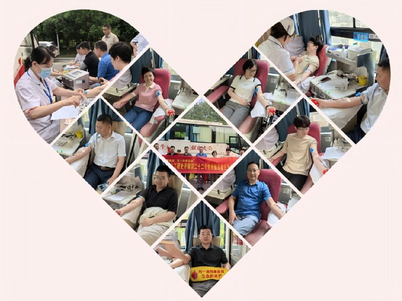 献血传递希望，携手挽救生命